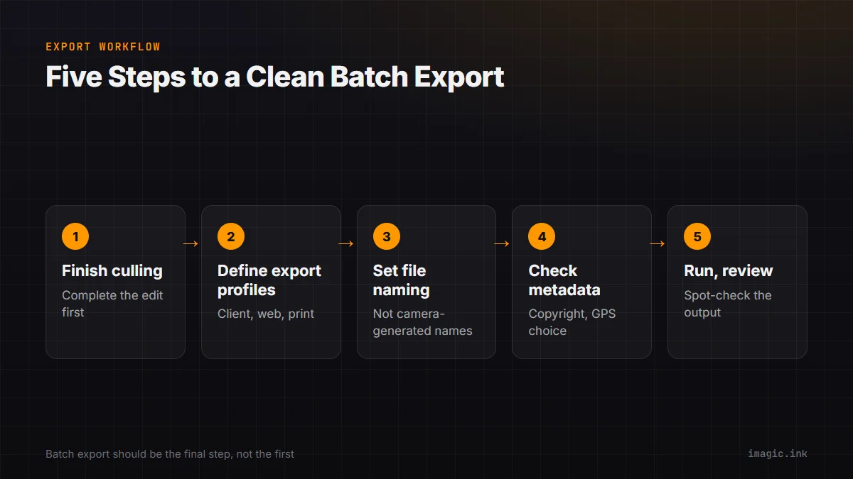 Flow diagram of the batch export steps: finish culling, define profiles, set naming, check metadata, run and review