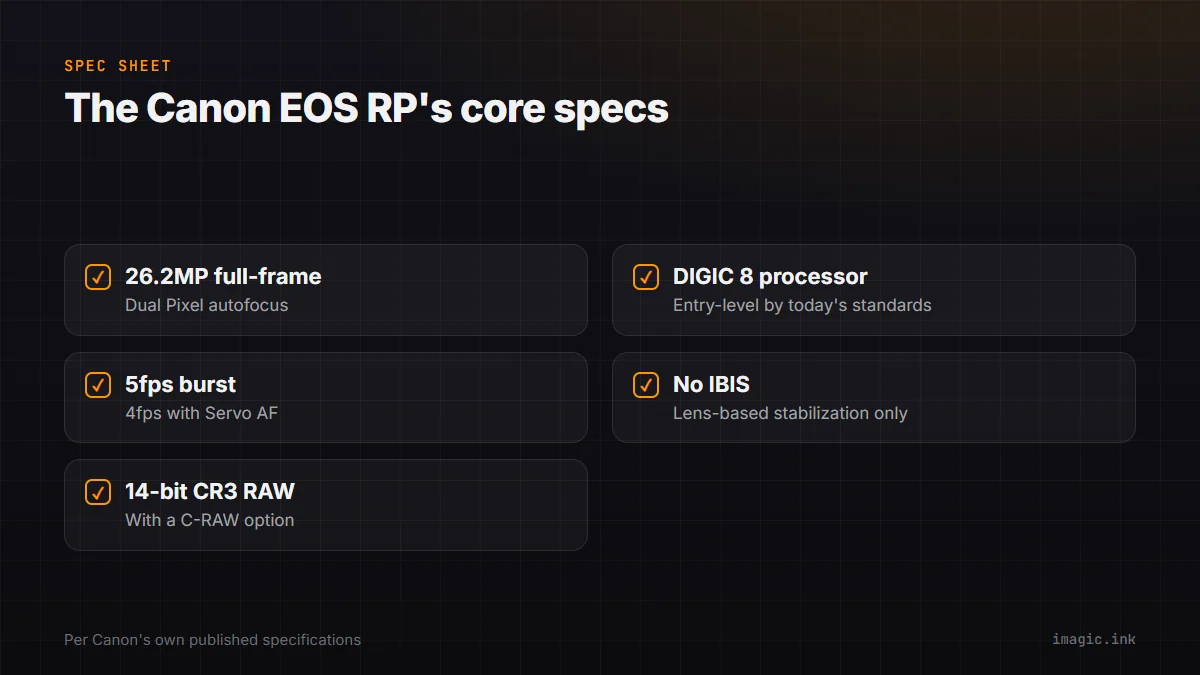 Checklist of the Canon EOS RP's core specs: 26.2MP full-frame sensor, DIGIC 8 processor, 5fps burst, no in-body stabilization, 14-bit CR3 RAW.