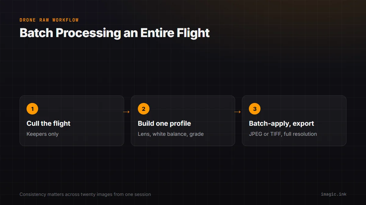 Flow diagram of batch processing an entire drone flight: cull, build one profile, batch-apply and export