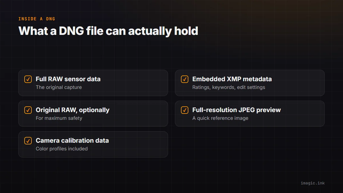 Checklist of what a DNG file can contain: RAW sensor data, embedded XMP, optional original RAW copy, JPEG preview, calibration data.