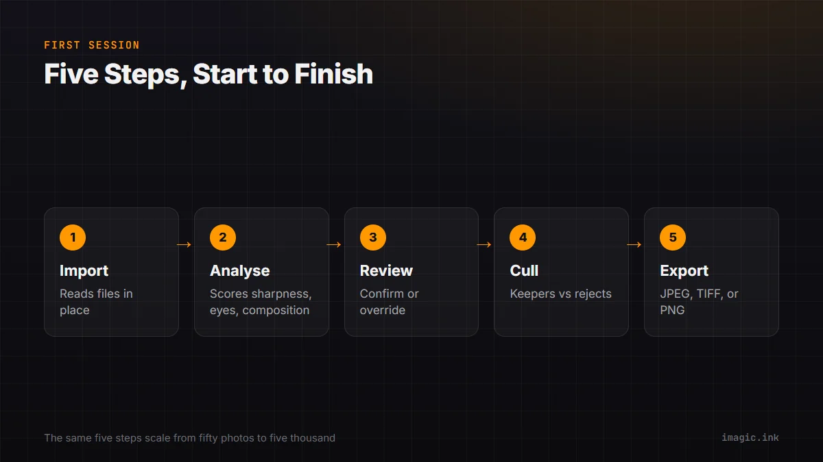 Flow diagram of the five-step imagic workflow: import, analyse, review, cull, export
