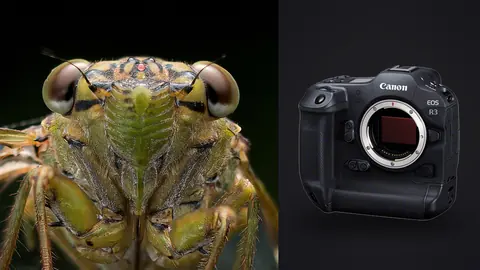 Canon EOS R3 product photo beside cicada face macro showing large compound eyes