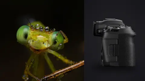 Canon EOS R5 Mark II product photo beside damselfly face macro with green compound eyes