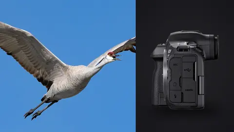 Canon EOS R5 Mark II product photo beside crane in flight against blue sky