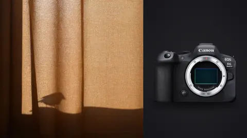 Canon EOS R6 Mark II product photo beside sheer curtain with bird shadow silhouette