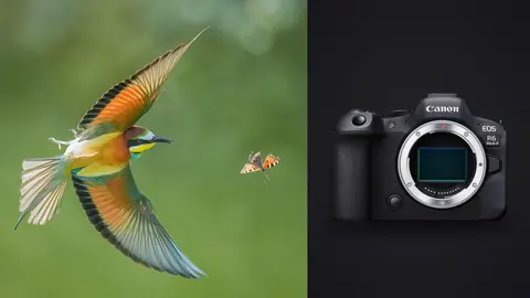 Canon EOS R6 Mark II product photo beside bee-eater in flight chasing an insect