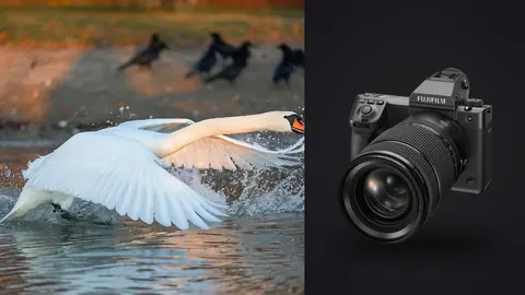 Fujifilm GFX100 II product photo beside swan taking off from water with wings spread