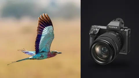 Fujifilm GFX100 II product photo beside colorful roller bird in flight over grassland