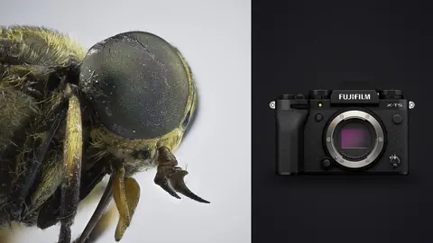 Fujifilm X-T5 product photo beside extreme close up of a flys compound eye