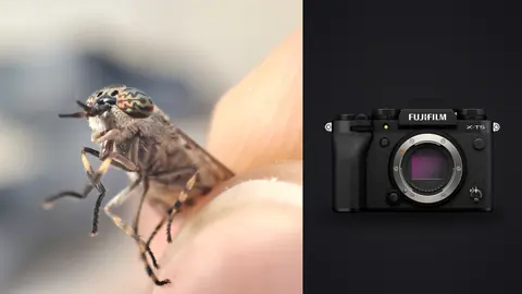 Fujifilm X-T5 product photo beside horsefly with iridescent eyes perched on a fingertip