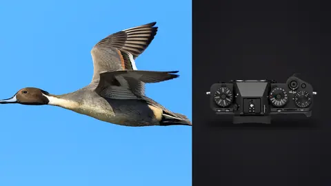 Fujifilm X-T5 product photo beside duck in flight against clear blue sky