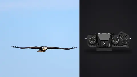 Fujifilm X-T5 product photo beside bald eagle in flight with wings fully spread
