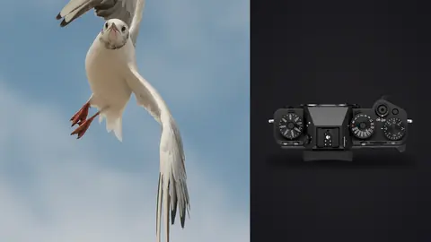Fujifilm X-T5 product photo beside bird hovering vertically against sky