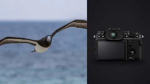 Fujifilm X-T5 product photo beside goose in flight low over water
