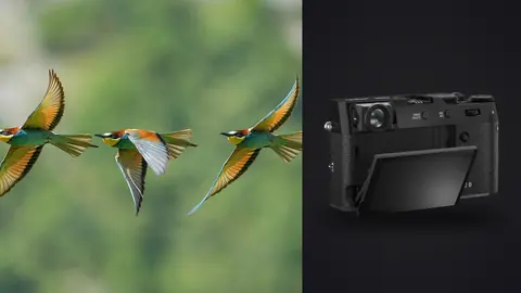 Fujifilm X100VI product photo beside three bee-eaters flying in formation