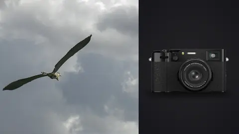 Fujifilm X100VI product photo beside heron in flight against a stormy sky