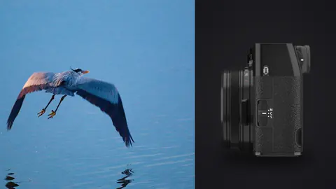 Fujifilm X100VI product photo beside heron in flight against blue sky