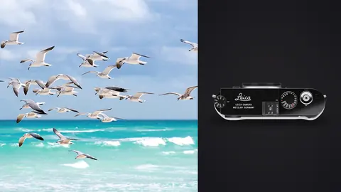 Leica M11 product photo beside flock of birds flying over turquoise ocean