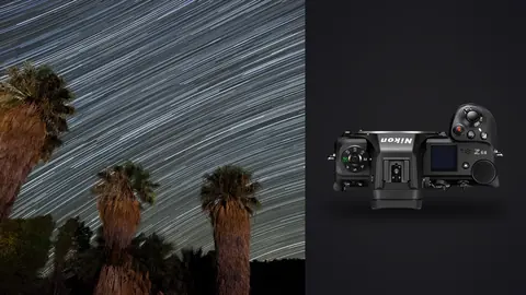 Nikon Z6 III product photo beside dense star trails above three silhouetted palm trees