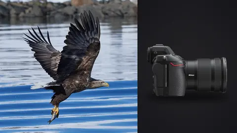 Nikon Z8 product photo beside eagle in flight low over water