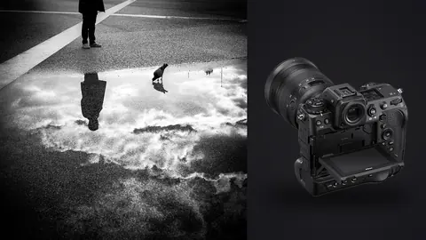 Nikon Z9 product photo beside silhouetted person and pigeon reflected in a wet street