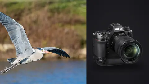 Nikon Z9 product photo beside grey heron gliding low over water