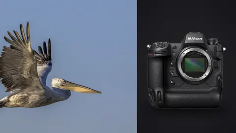 Nikon Z9 product photo beside pelican in flight against pale sky