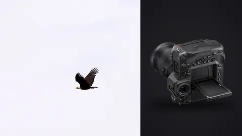 Nikon Z9 product photo beside bald eagle in flight against white sky