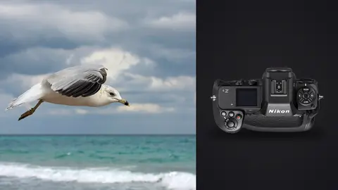 Nikon Z9 product photo beside gull in flight over cloudy coastal sky