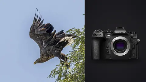 OM System OM-1 Mark II product photo beside eagle diving through willow branches