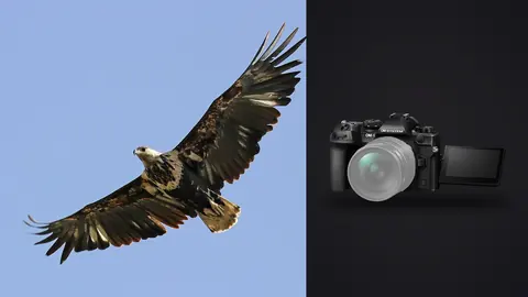 OM System OM-1 Mark II product photo beside juvenile eagle in flight against blue sky