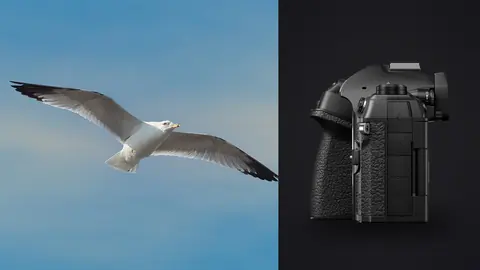 OM System OM-1 Mark II product photo beside gull in flight against blue sky