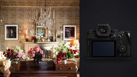 Panasonic Lumix S5IIX product photo beside ornate antique living room with fireplace and flower arrangements
