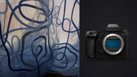 Panasonic Lumix S5IIX product photo beside curtain with swirling pattern design close-up