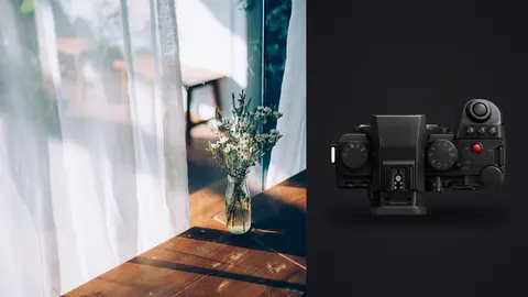 Panasonic Lumix S5IIX product photo beside vase of flowers on table by sheer curtain