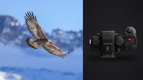 Panasonic Lumix S5IIX product photo beside eagle in flight against snowy mountain peaks