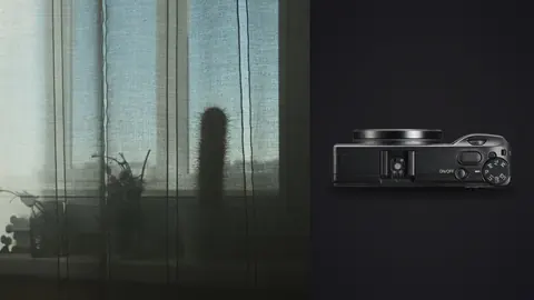 Ricoh GR IIIx product photo beside sheer curtain with cactus silhouette