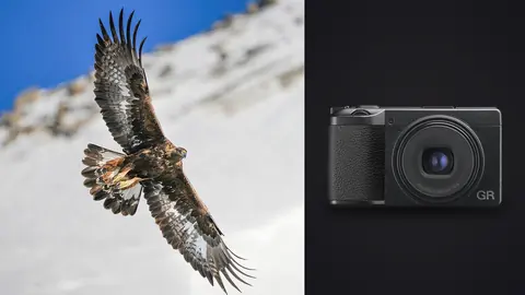 Ricoh GR IIIx product photo beside eagle in flight against snowy mountain backdrop