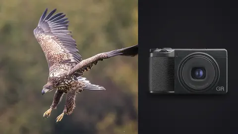 Ricoh GR IIIx product photo beside young eagle in flight with talons out