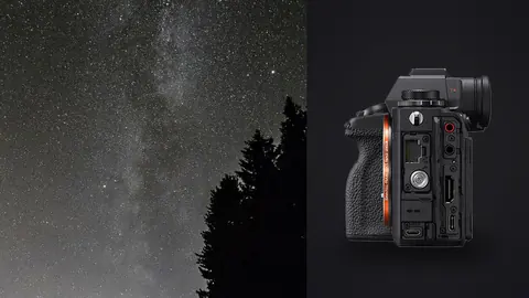 Sony Alpha 1 product photo beside milky way band beside a silhouetted pine tree