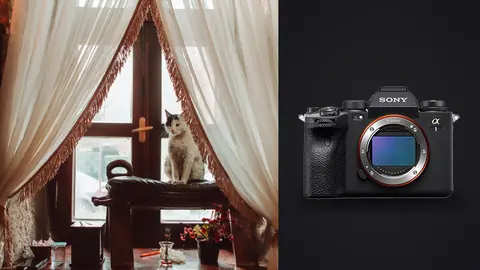 Sony Alpha 1 product photo beside ornate curtained window with cat on windowsill