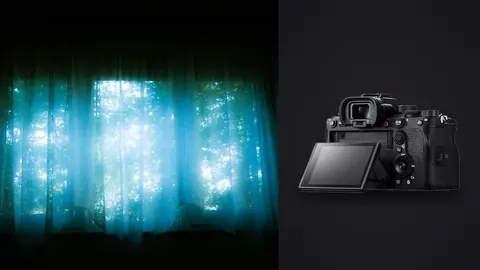 Sony Alpha 1 product photo beside teal backlit curtain with forest visible beyond