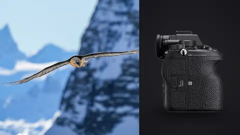 Sony Alpha 1 product photo beside large bird of prey soaring over snowy mountains