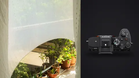 Sony a7 IV product photo beside white curtain with balcony and plants beyond