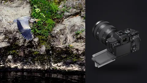 Sony a7 IV product photo beside heron in flight along a rocky riverbank