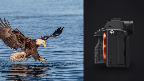 Sony a7R V product photo beside bald eagle diving toward water with talons extended