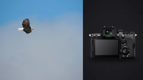 Sony a7R V product photo beside bald eagle in flight against cloudy sky