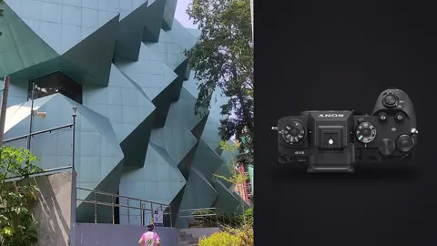 Sony a9 III product photo beside angular modern glass building facade among trees