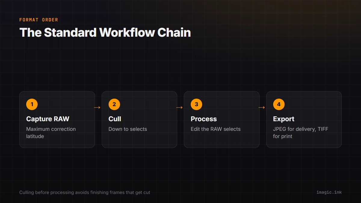 Flow diagram of the standard workflow chain: capture RAW, cull, process, export to JPEG or TIFF